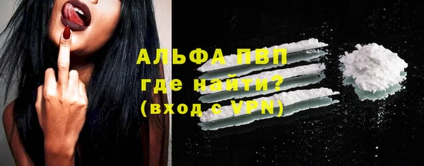 прущие грибы Кодинск