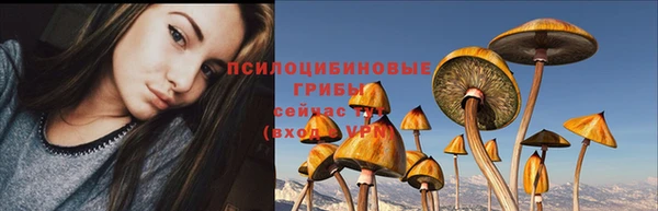 прущие грибы Кодинск