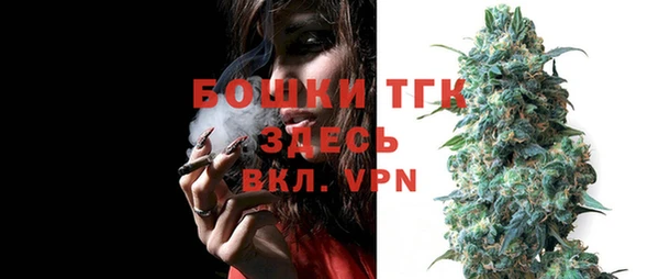 прущие грибы Кодинск