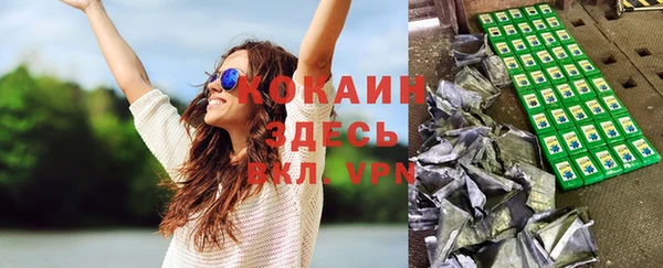 прущие грибы Кодинск