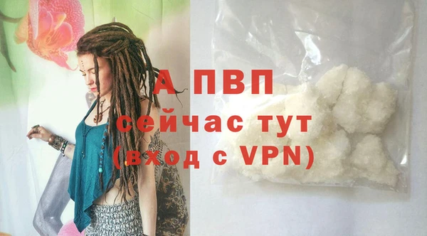 прущие грибы Кодинск