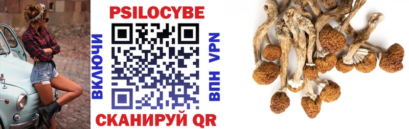 Купить закладки  Норильск  Псилоцибиновые грибы мухоморы 